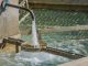 Ofwat have announced 12 amibitions for water companies in the UK to meet over the course of 2020-21