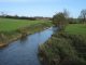 River pollution in Northern Ireland is on the rise during lockdown as people flush waster water contaminated with paint and other DIY materials down the incorrect drains