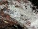 Over 60% of the United Kingdom are areas which suffer from hard water