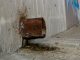 Concretebergs are vast concrete blockages which cause serious problems in sewers and pipes