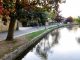 A shocking report has revealed that all of the rivers, streams and lakes in England are suffering from some form of pollution