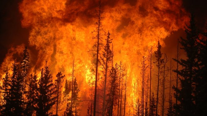 Wildfires have been linked with causing the contamination of drinking water through heating up plastic pipes so that chemicals leech into the water