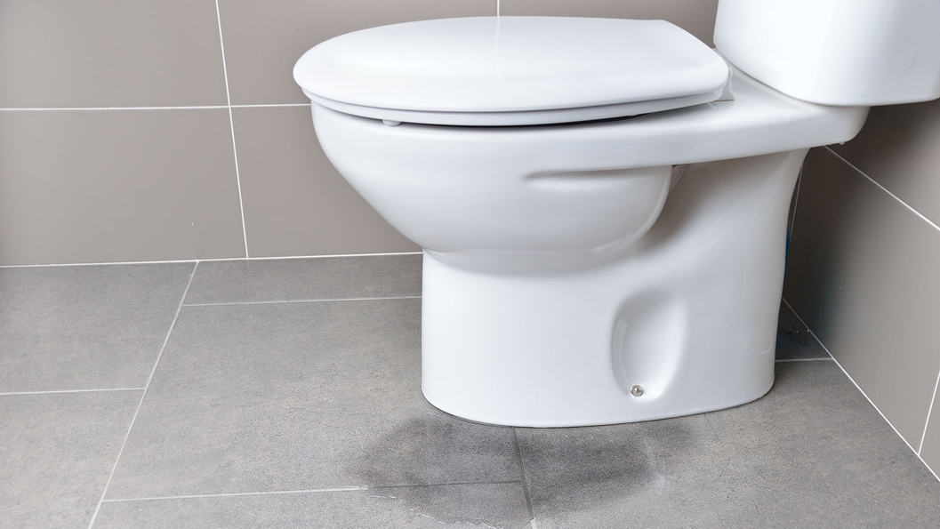 Ed Toilet Repair How To Fix A In Bowl Piperepair Co Uk - How To Repair Broken Toilet Seat Cover