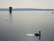 The National Infrastructure Commission has said more needs to be done on water resilience in the UK to withstand a future extreme drought