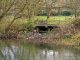 A drop in investigations into reported pollution incidents by the Environment Agency has led to concerns that environmental regulations may be being broken with near-impunity