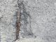 Concrete cancer can cause serious structural damage to buildings and structures