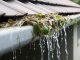 Blocked gutters can lead to serious problems for buildings