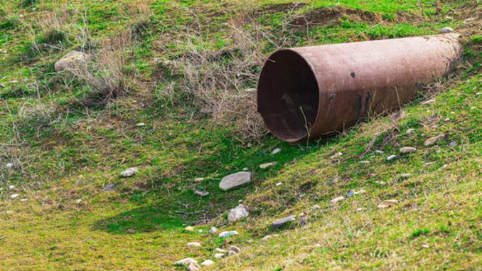 2025-08 Pipe in Field A dog became stuck in a pipe after chasing a rabbit through a field