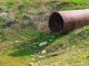 A dog became stuck in a pipe after chasing a rabbit through a field
