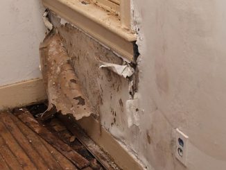 Wallpaper damage is a sign that a pipe might be leaking inside a wall