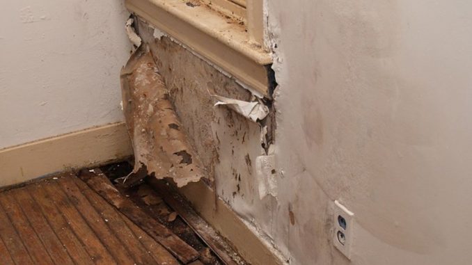 Wallpaper damage is a sign that a pipe might be leaking inside a wall