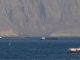 A prolonged blockade of the Strait of Hormuz will impact commodity supplies beyond just crude oil